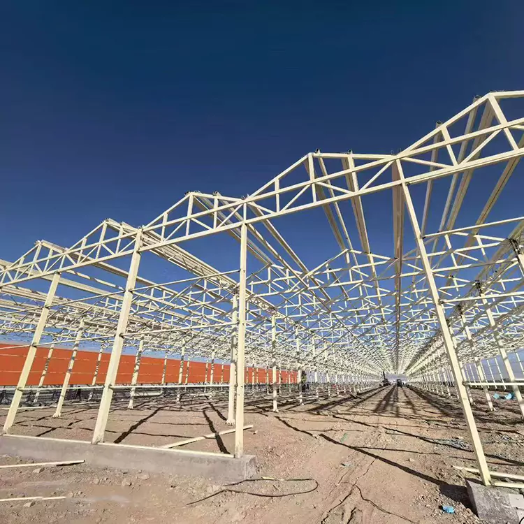 جدید زراعت کے لئے ایک جستی اسٹیل گرین ہاؤس فریم کیوں بہترین انتخاب ہے؟